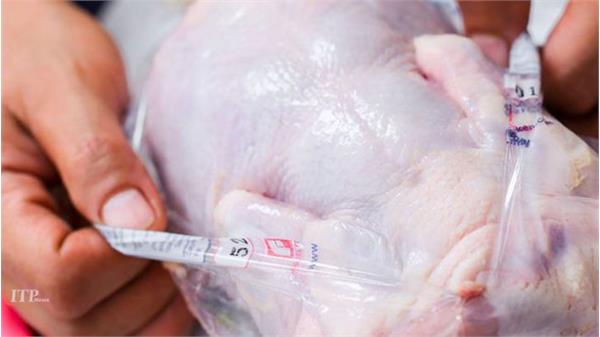 آزادسازی ذخایر مرغ منجمد ۱۵ هزار تومانی