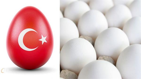 دامپینگ ترکیه علیه بازارهای تخم مرغ ایران