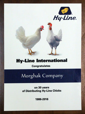 Lohe taghdir Hy-line