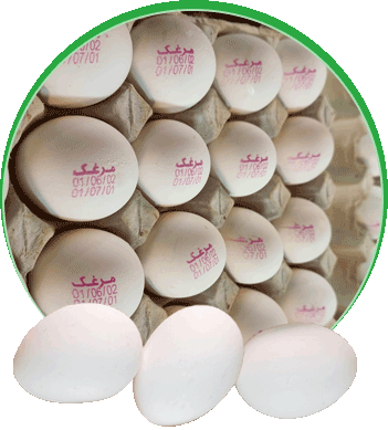 تخم مرغ خوراکی