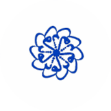 سازمان اقتصادی کوثر