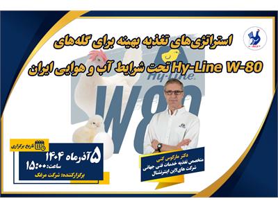وبینار استراتژی تغذیه بهینه برای گله های سویه W-80 نژاد هایلاین