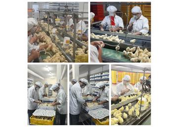 صادرات مرغک به عراق در زمان اوج تنش جنگ با رژیم صهیونیستی