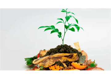 تولید ۵۰ درصد از خوراک دام با روش خشک‌سازی ضایعات