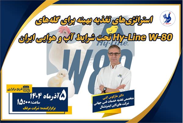 وبینار استراتژی تغذیه بهینه برای گله های سویه W-80 نژاد هایلاین