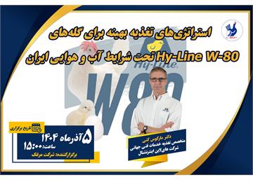 وبینار استراتژی تغذیه بهینه برای گله های سویه W-80 نژاد هایلاین