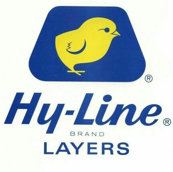 شرکت هایلاین