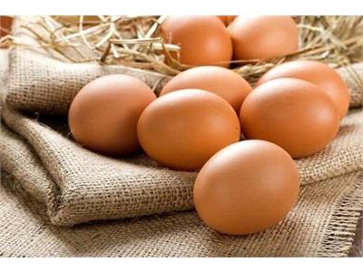 یک میلیون و ۲۰۰ هزار تن تخم مرغ در کشور تولید می‌شود